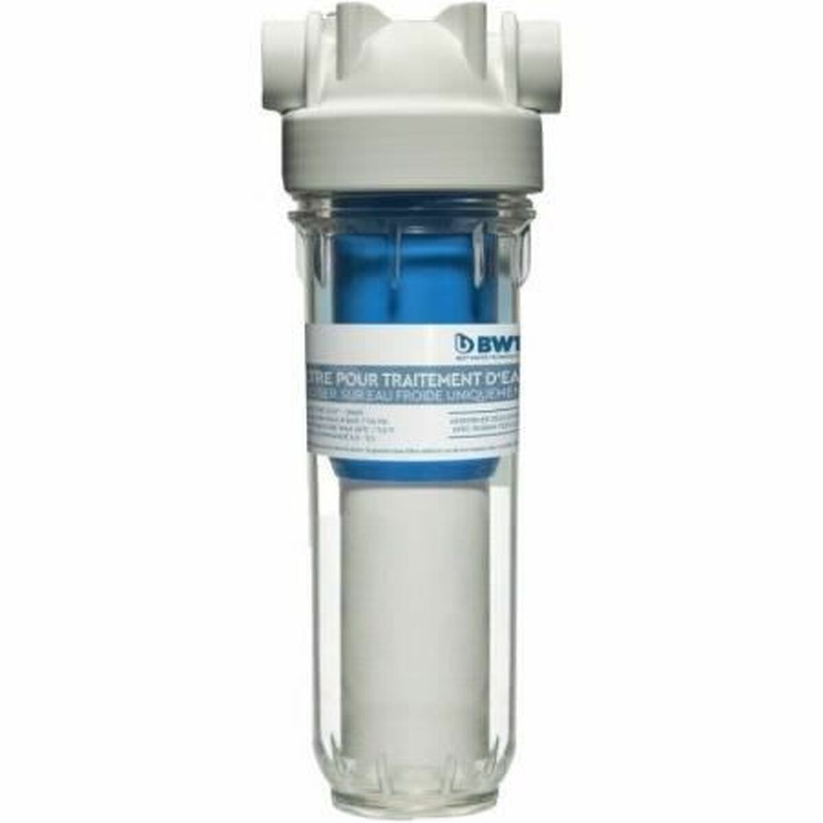 Filtre piscine BWT 125550144 – Traitement eau professionnelle